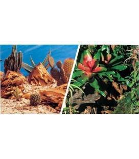 Fondo Decorativo Aqua Decor Bromelia/Desierto 30 cm x 15m