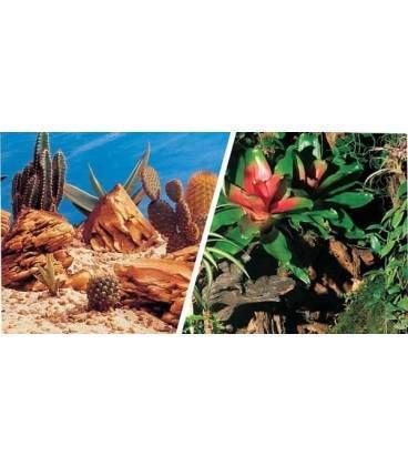 Fondo Decorativo Aqua Decor Bromelia/Desierto 30 cm x 15m