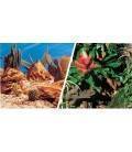 Fondo Decorativo Aqua Decor Bromelia/Desierto 30 cm x 15m