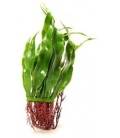 Plantas Plasticas Rootscaper MARINA