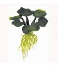 Plantas Foltantes EXOTERRA 15 cm