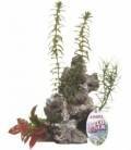 Ornamento Deco Rock con Plantas MARINA