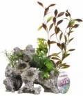 Ornamento Deco Rock con Plantas MARINA