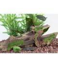 Fluval Decor Réplicas Madera y Musgo