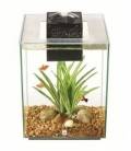 Acuario Fluval Chi