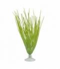 Plantas con Ventosa MARINA 12,5 cm