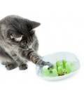 CATIT Senses Treat Maze