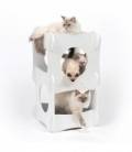 Catit Vesper Condo