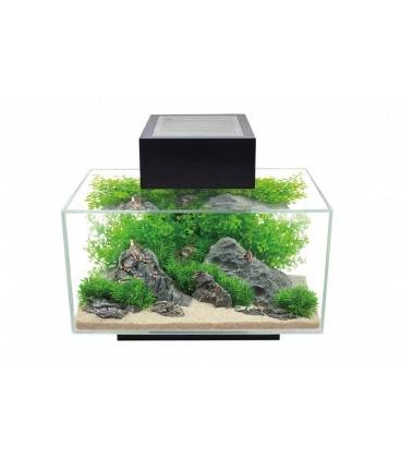 Acuario Fluval Edge 2.0