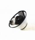 Collar Isabelino Pet E-Collar Pawise