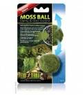 Moss Ball EXO TERRA