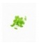 HYDROCOTYLE LEUCOCHEPALA